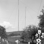 060 Turbenmoos-1986 (5)